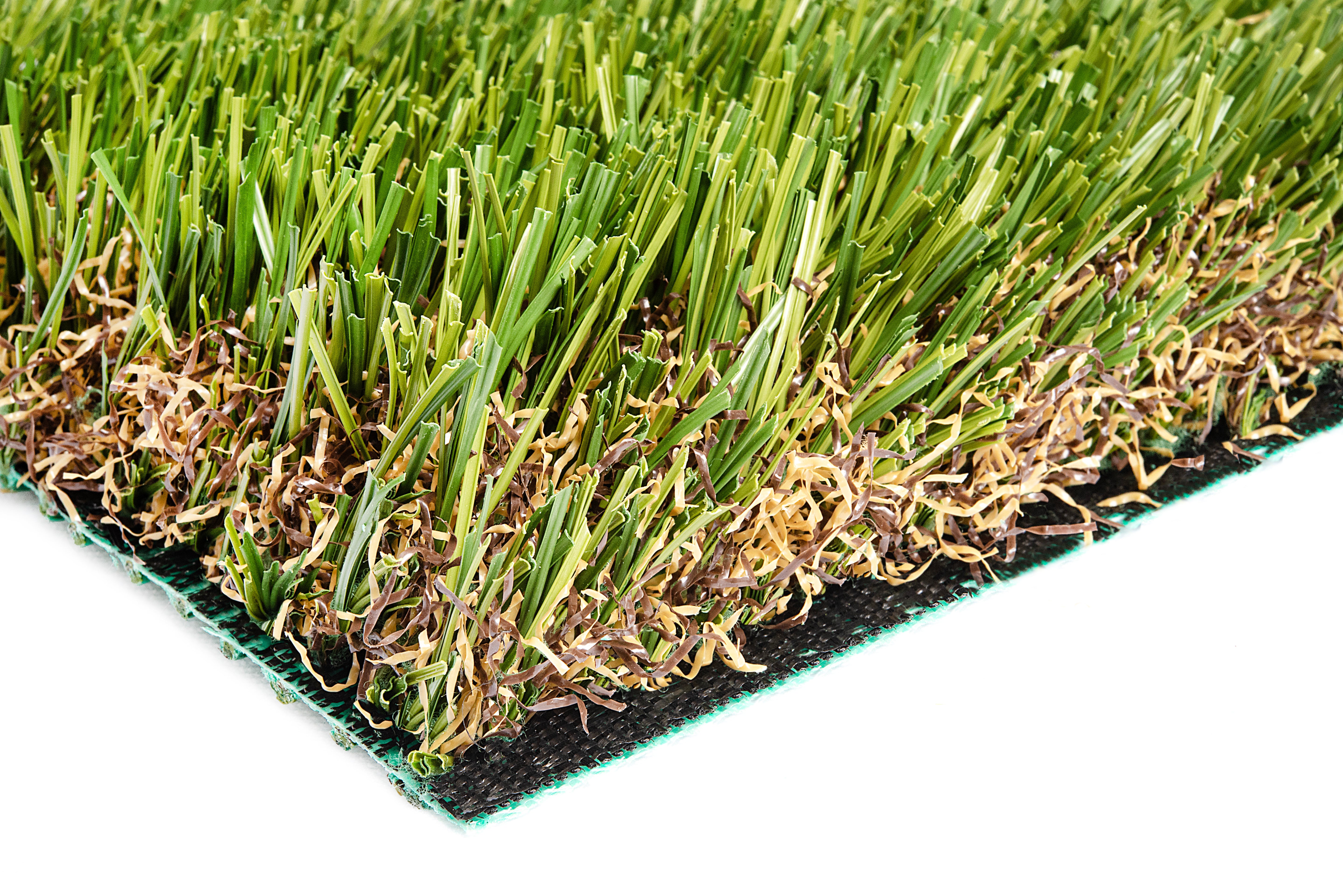 SYNFescue