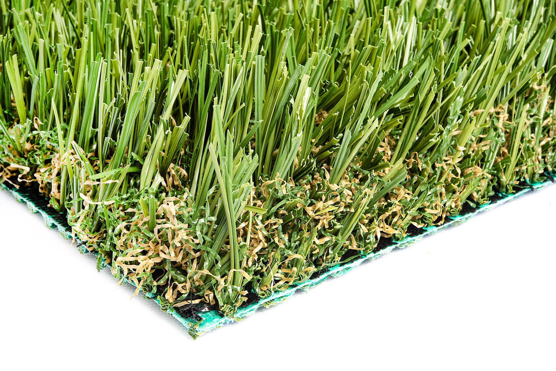 SYNFescue